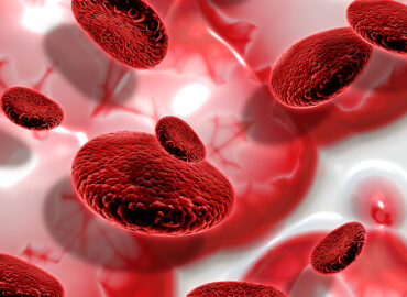 3D render of blood cells on abstract background