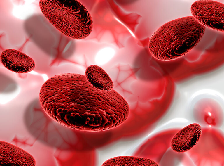 3D render of blood cells on abstract background